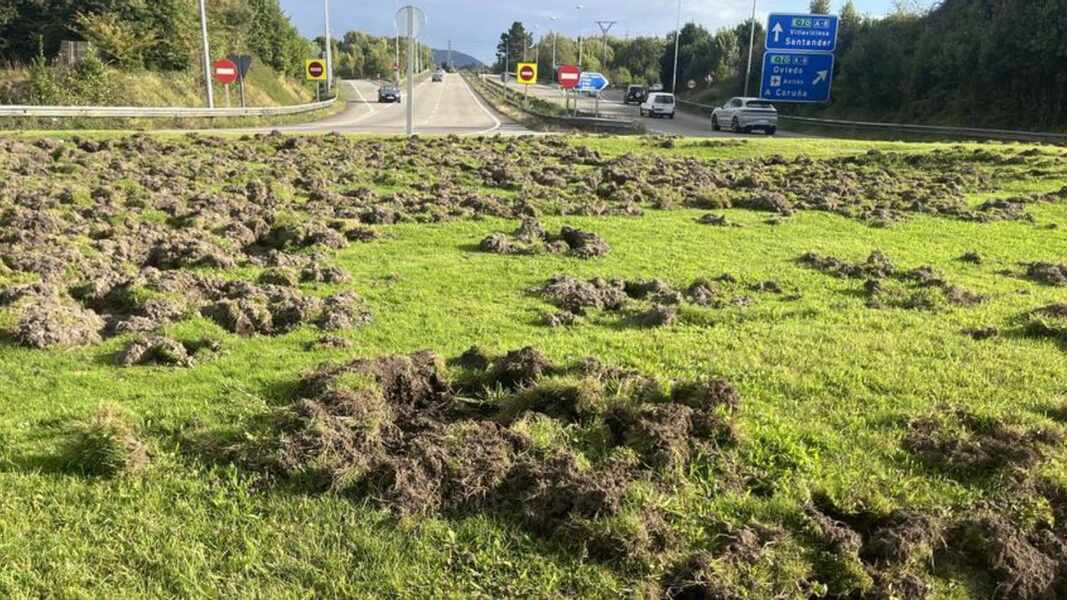 Изображение для новости о Астурия