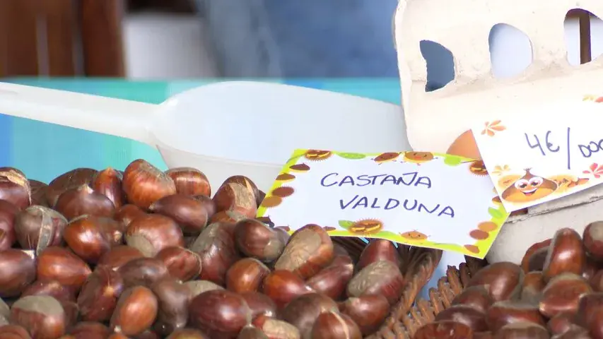 Изображение для новости о Астурия