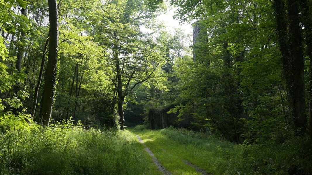 Изображение для новости о Астурия