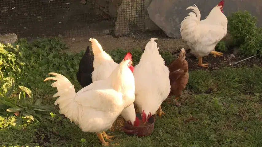 Изображение для новости о Астурия