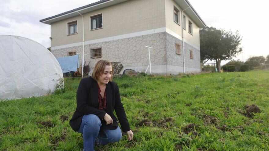 Изображение для новости о Астурия