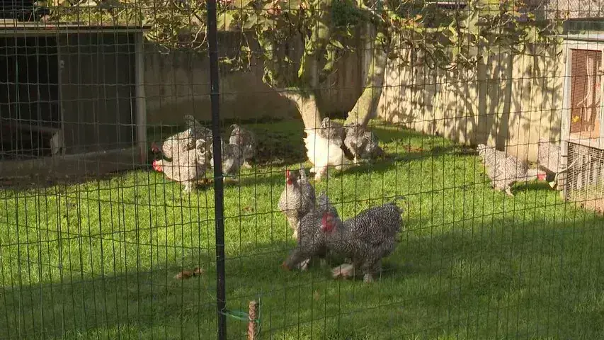 Изображение для новости о Астурия