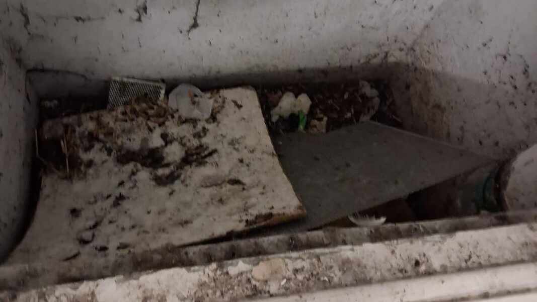 Изображение для новости о Астурия