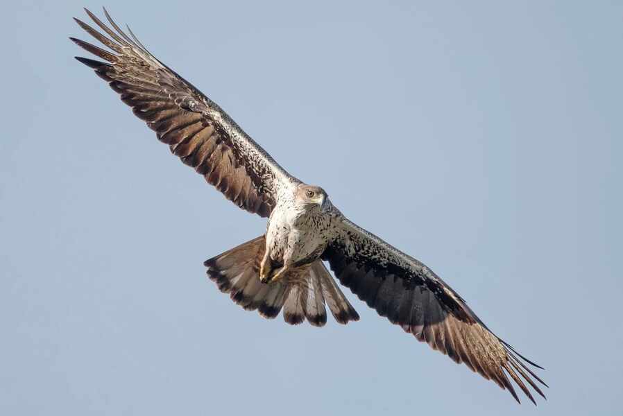 Изображение для новости о Таррагона