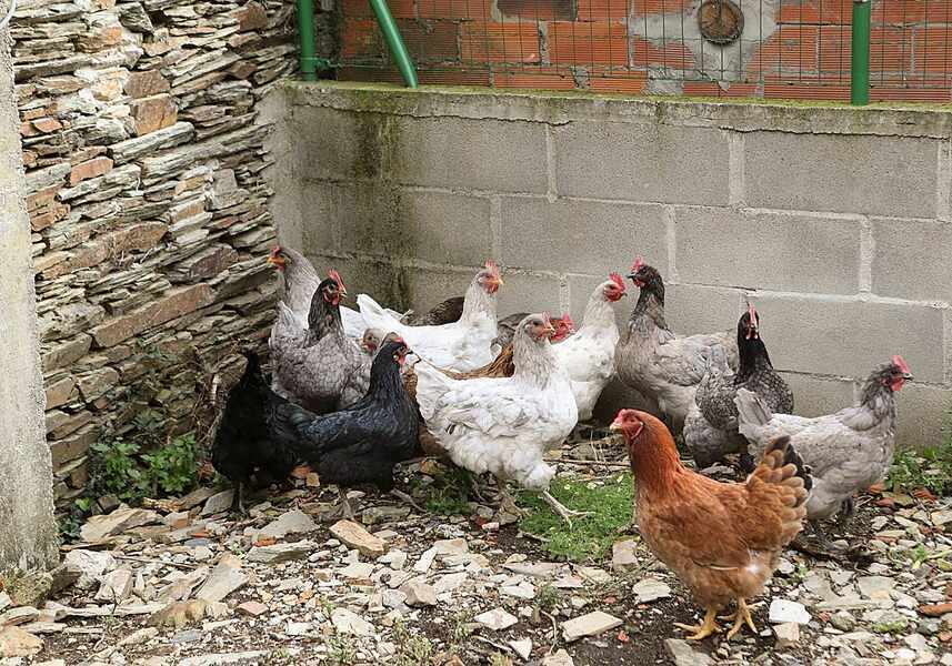 Изображение для новости о Астурия