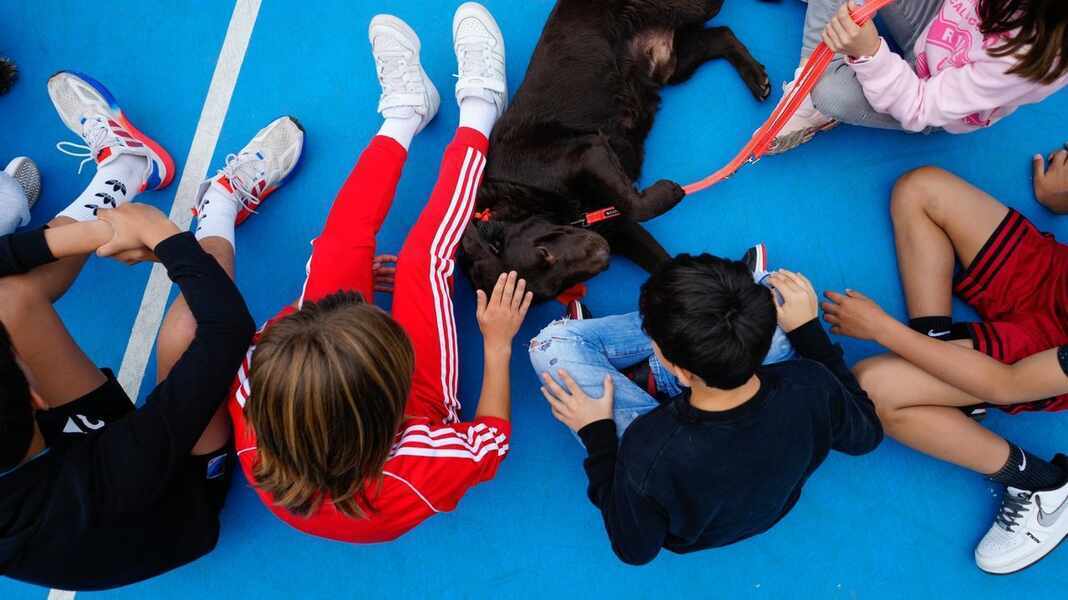 Изображение для новости о Астурия