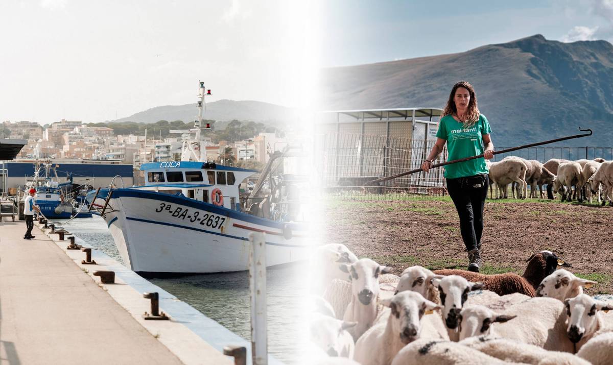 Изображение для новости о Таррагона