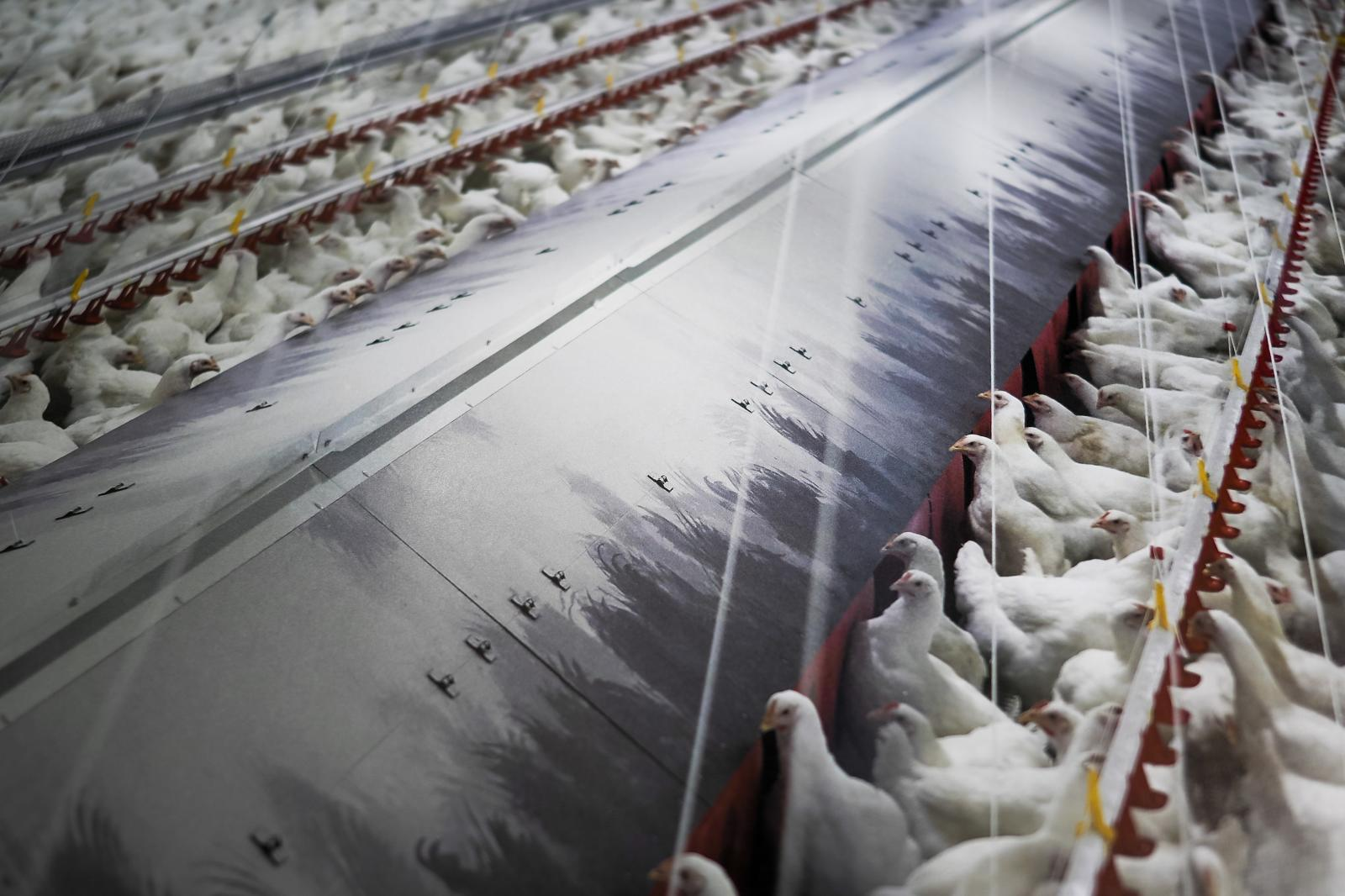 Изображение для новости о Астурия