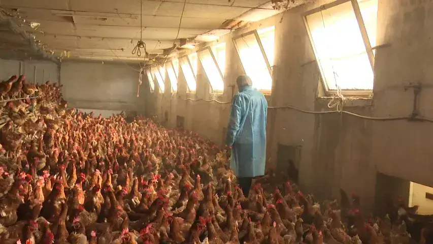 Изображение для новости о Астурия