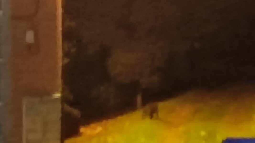 Изображение для новости о Астурия