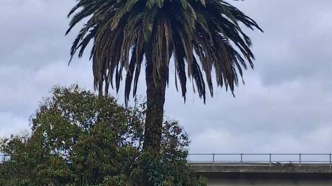 Изображение для новости о Астурия