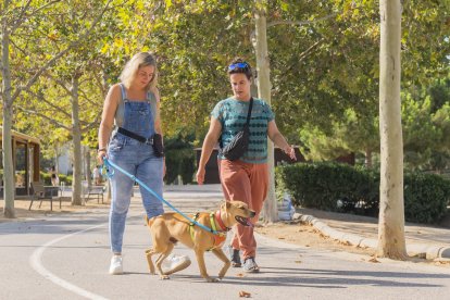 Изображение для новости о Таррагона