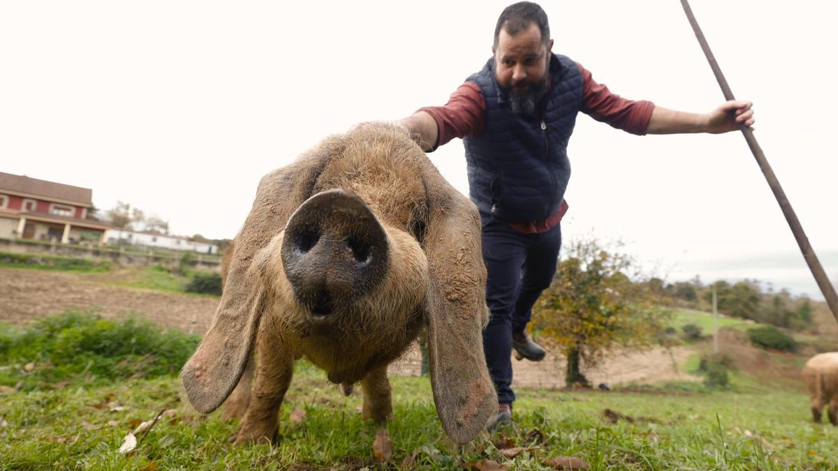 Изображение для новости о Астурия