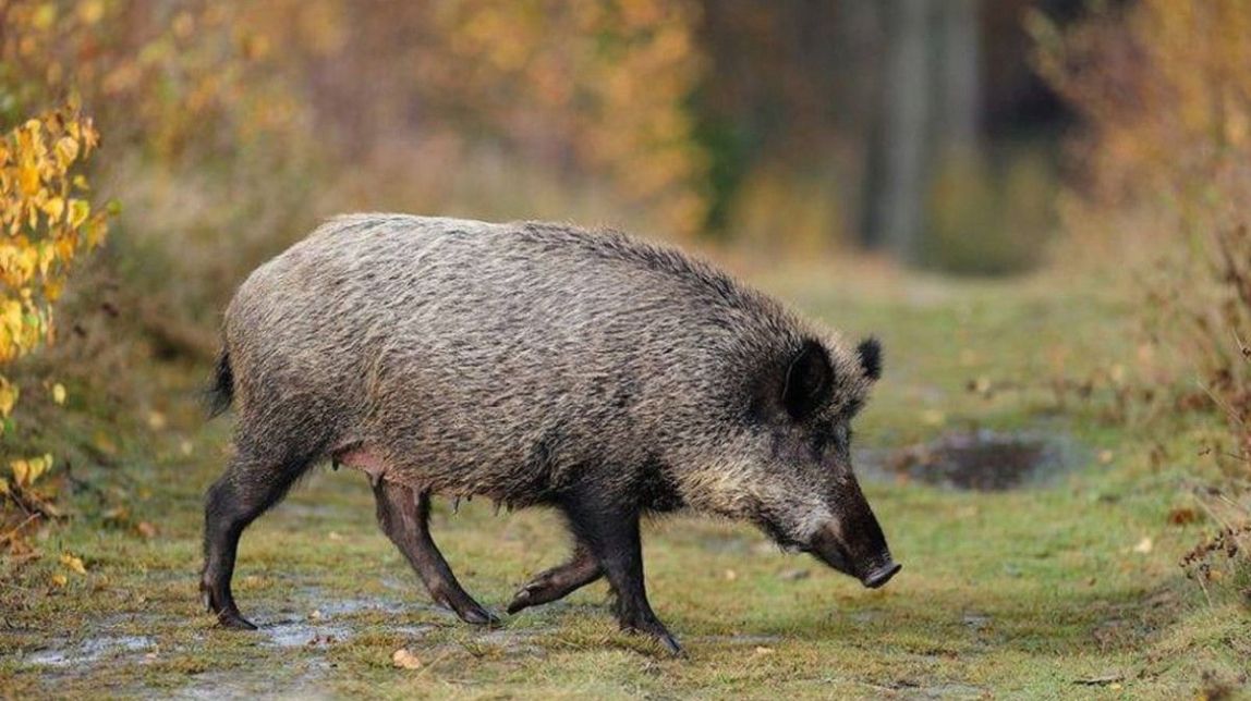 Изображение для новости о Таррагона