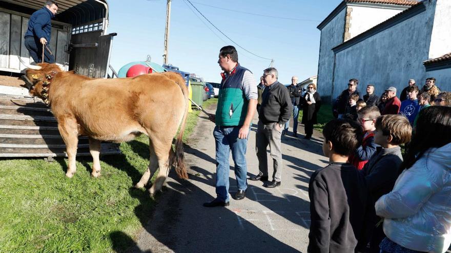 Изображение для новости о Астурия
