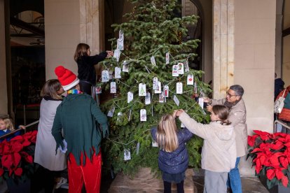 Изображение для новости о Таррагона