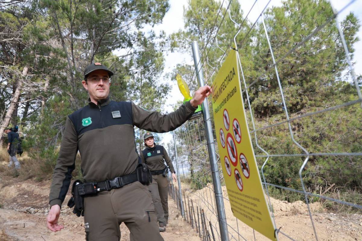 Изображение для новости о Таррагона