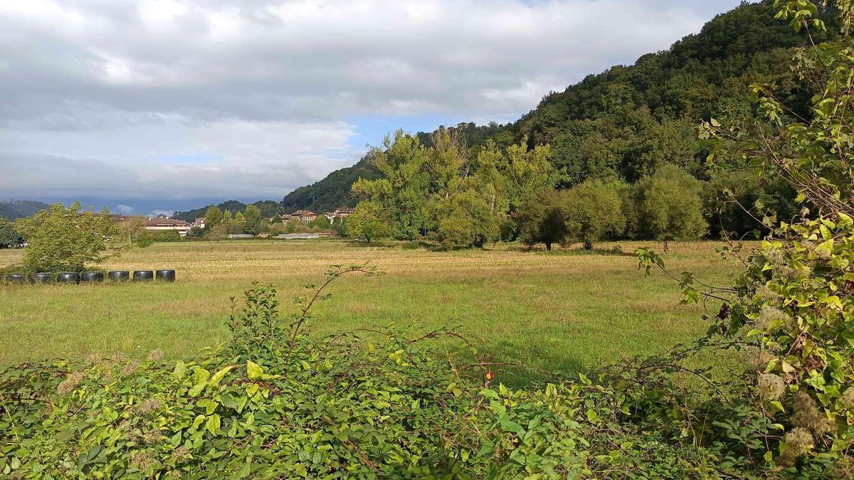 Изображение для новости о Астурия