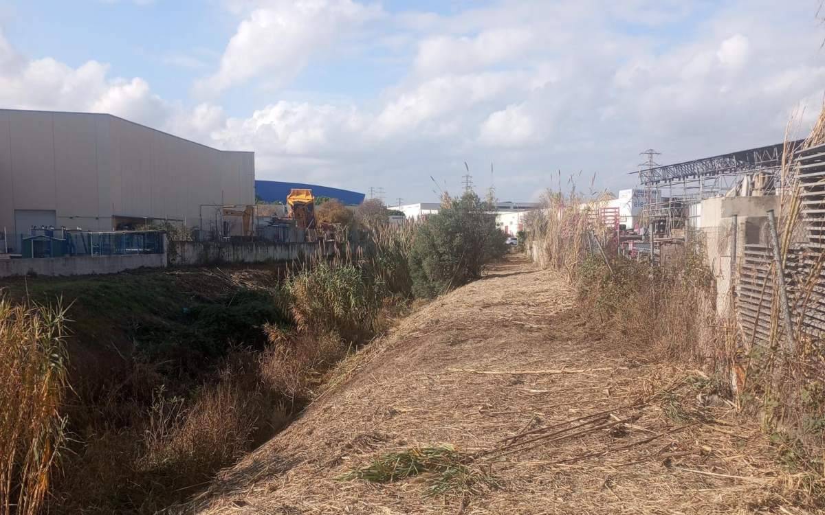 Изображение для новости о Таррагона