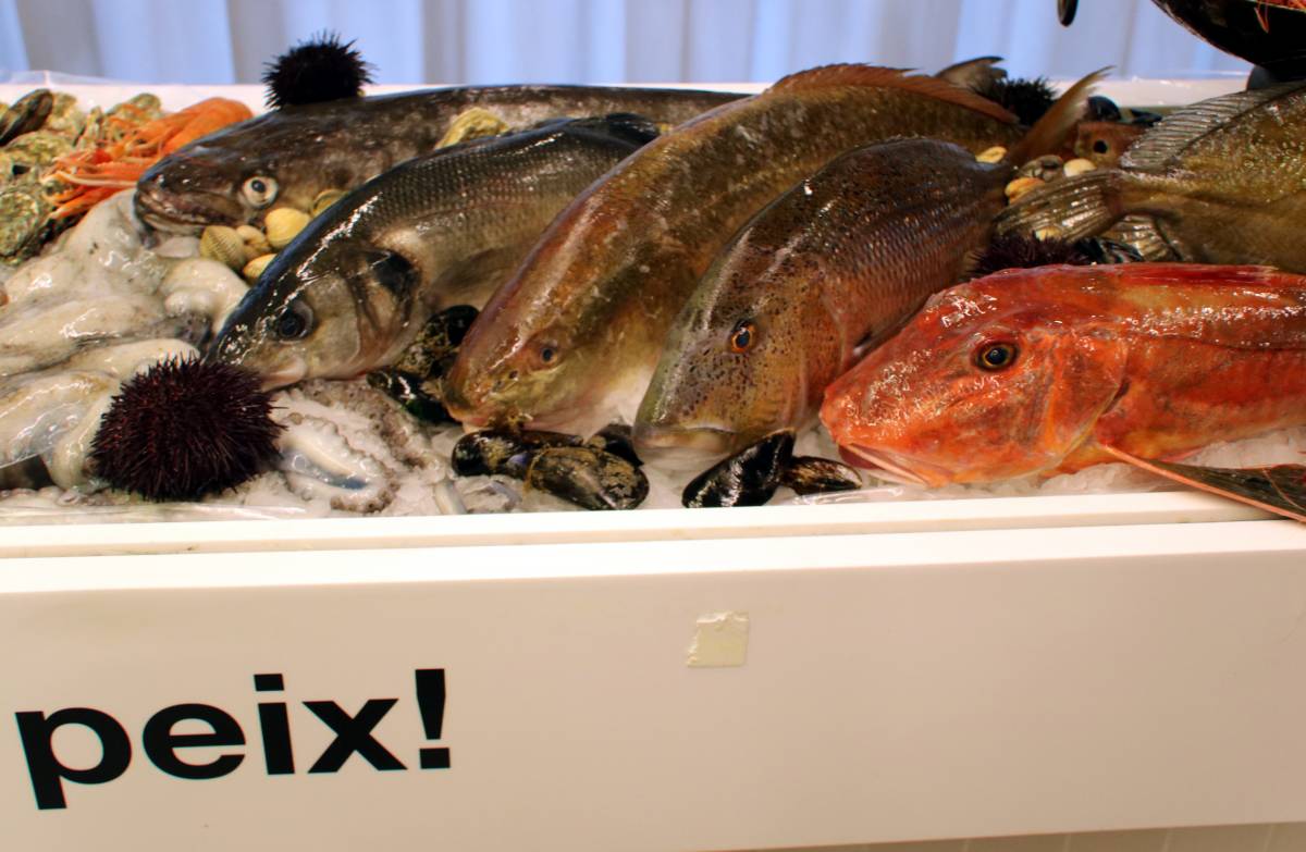 Изображение для новости о Барселона