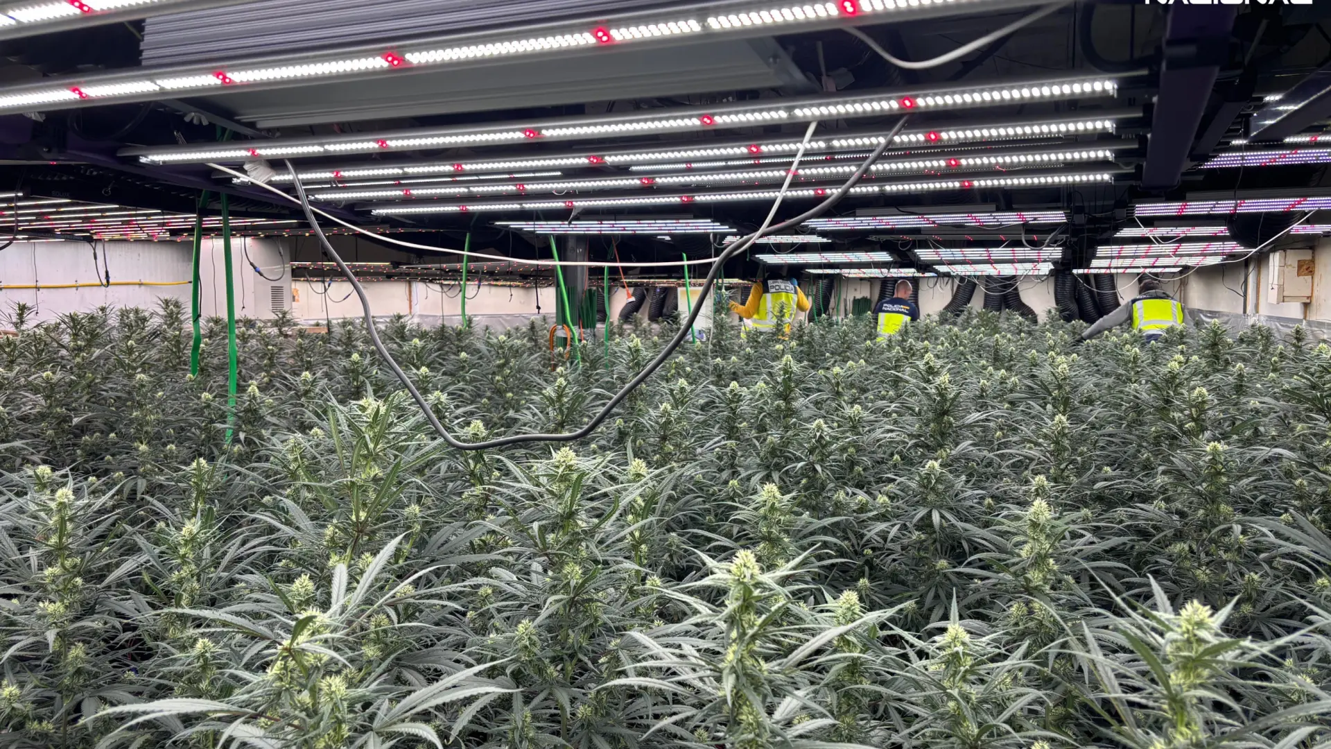 Изображение для новости о Барселона