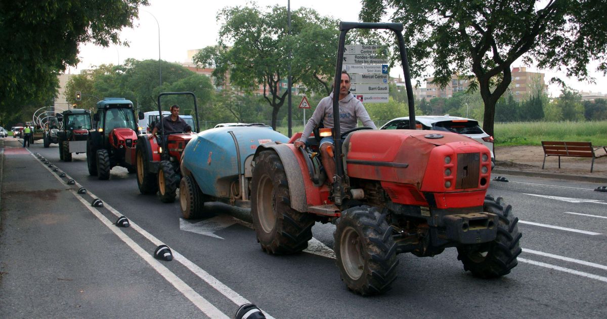 Изображение для новости о Таррагона