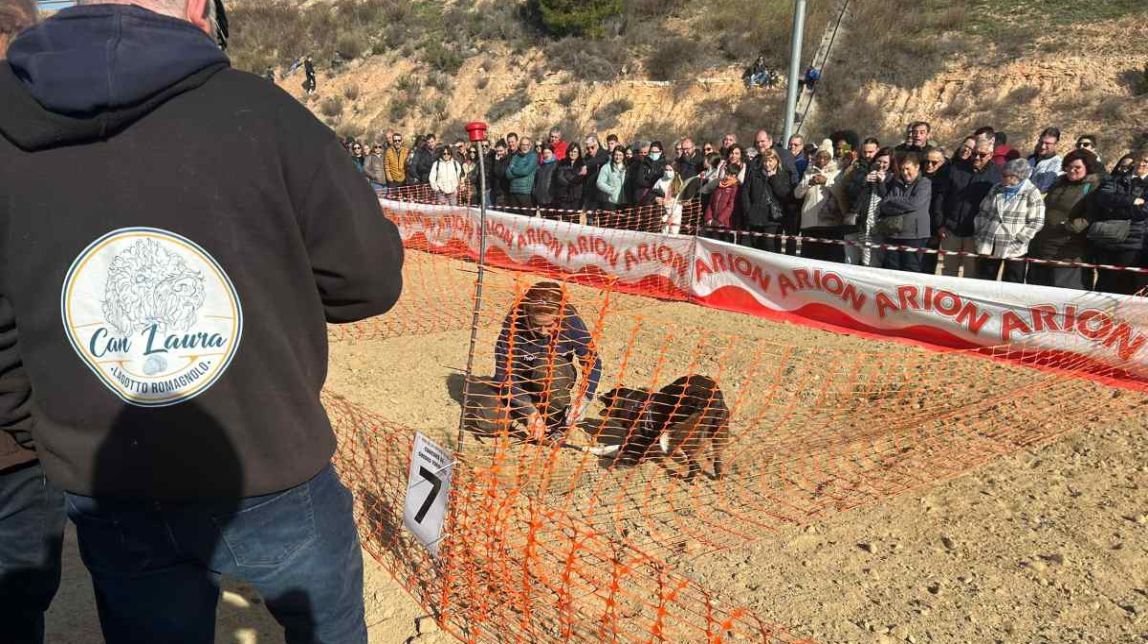 Изображение для новости о Таррагона