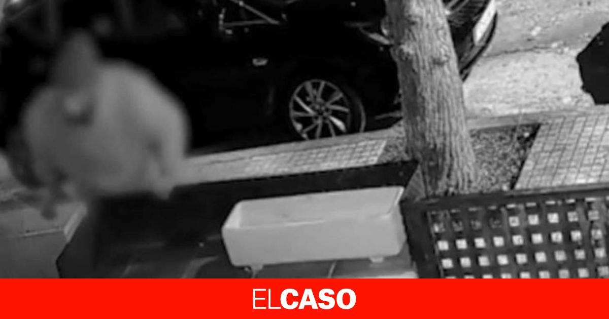 Изображение для новости о Барселона