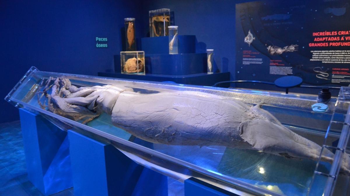 Изображение для новости о Астурия