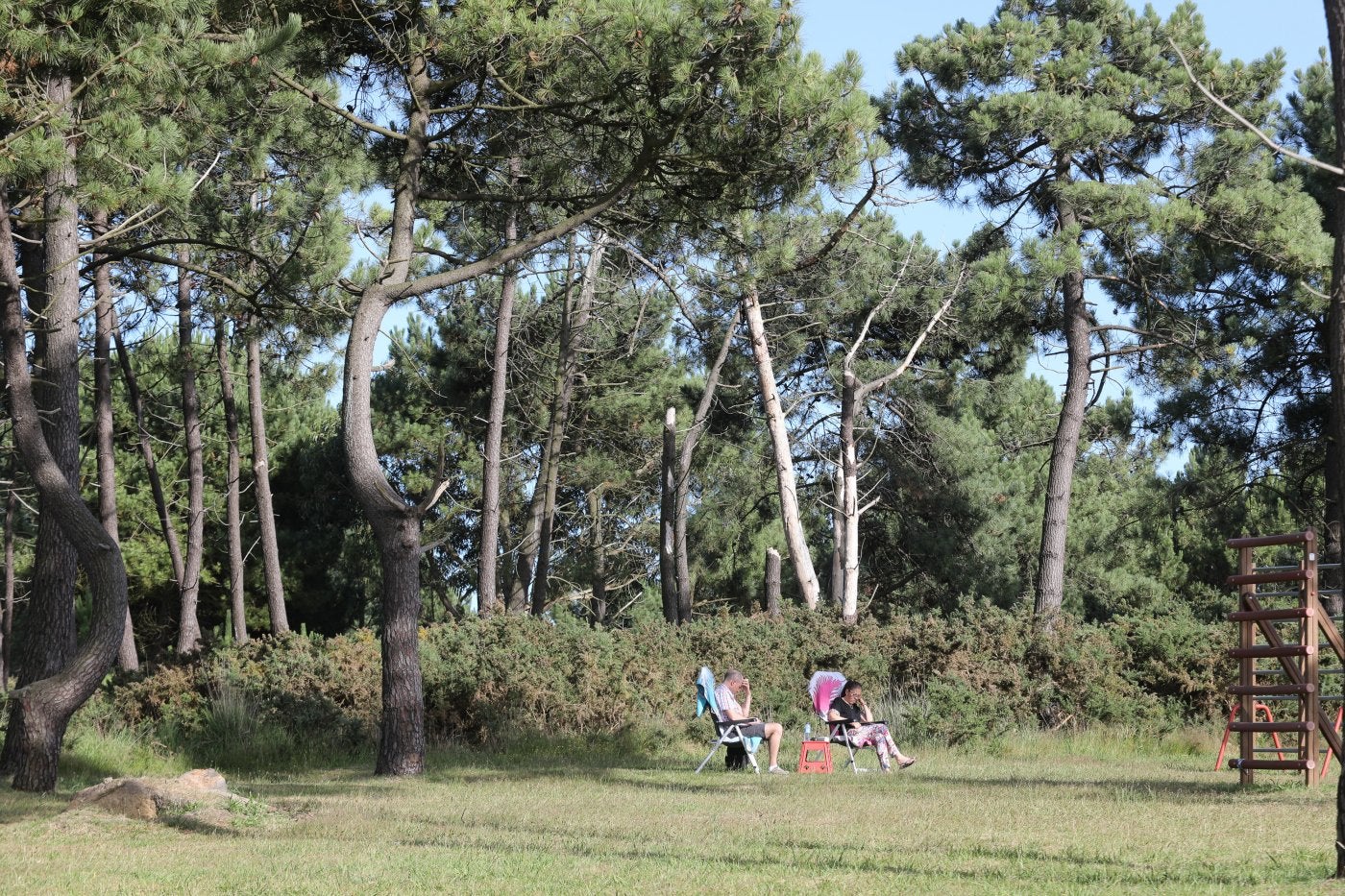 Изображение для новости