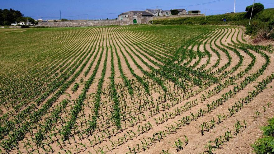 Изображение для новости