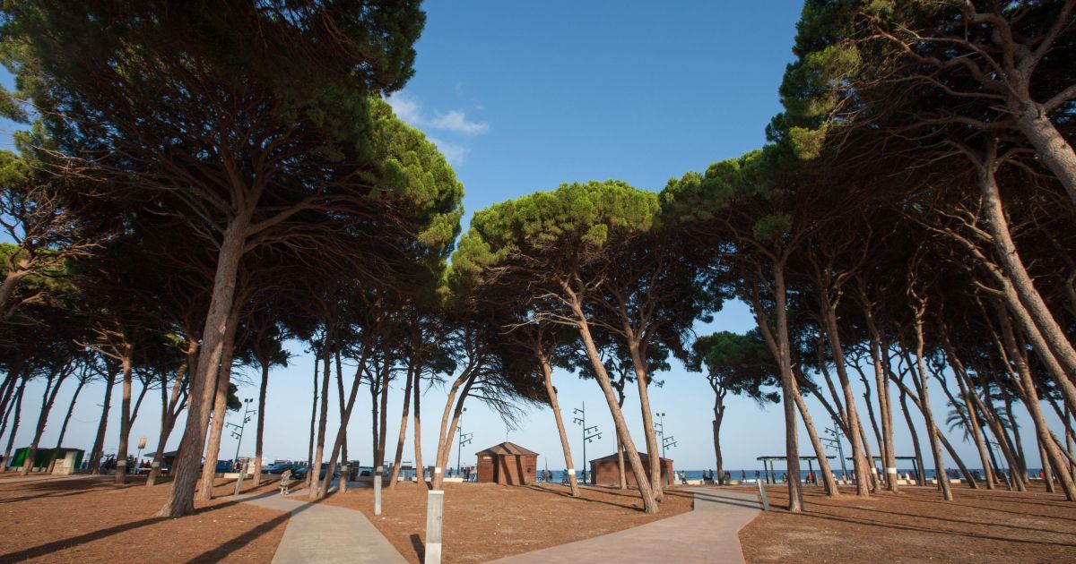 Изображение для новости о Таррагона