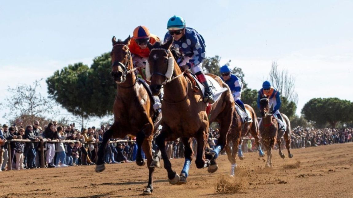 Изображение для новости о Таррагона