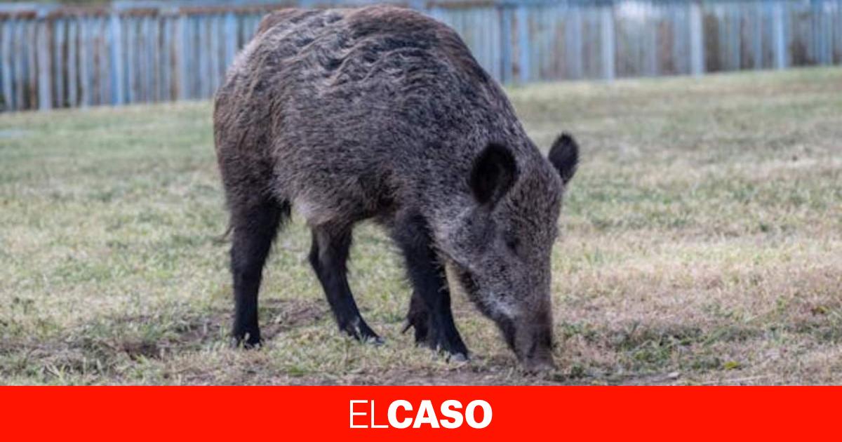 Изображение для новости о Барселона