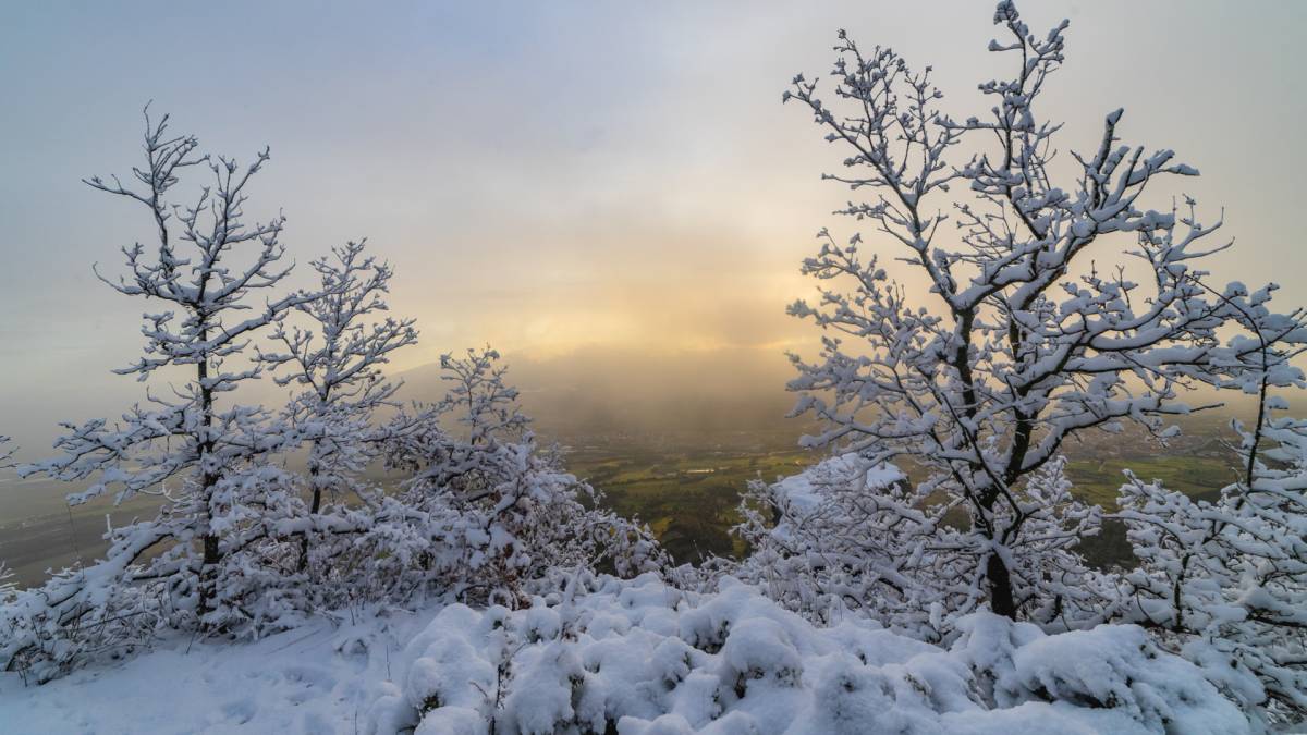 Изображение для новости о Таррагона