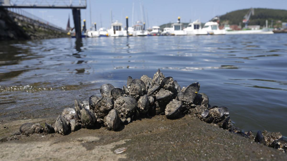 Изображение для новости о Астурия