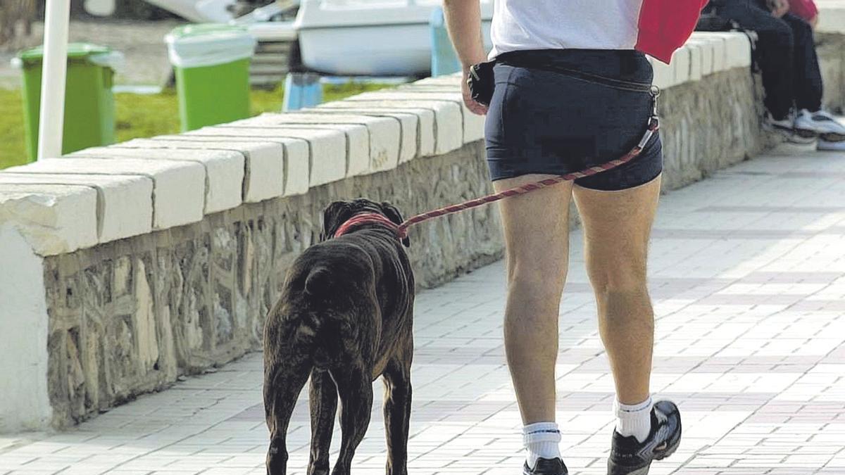 Изображение для новости о Астурия