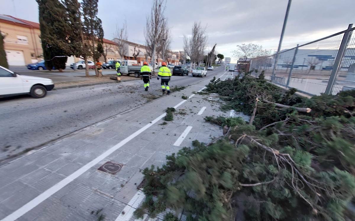 Изображение для новости о Таррагона