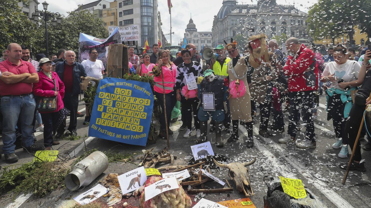 Изображение для новости о Астурия
