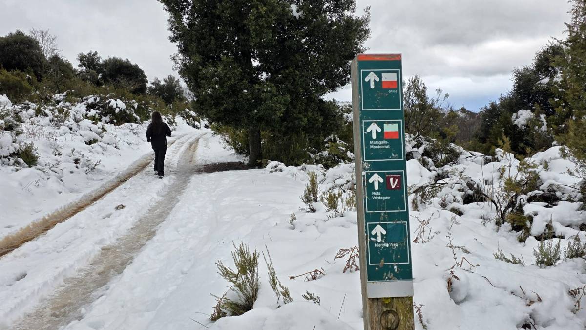 Изображение для новости о Таррагона