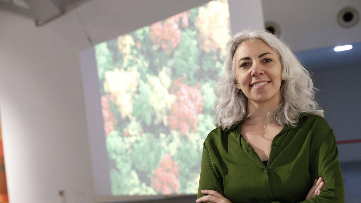 Изображение для новости о Астурия