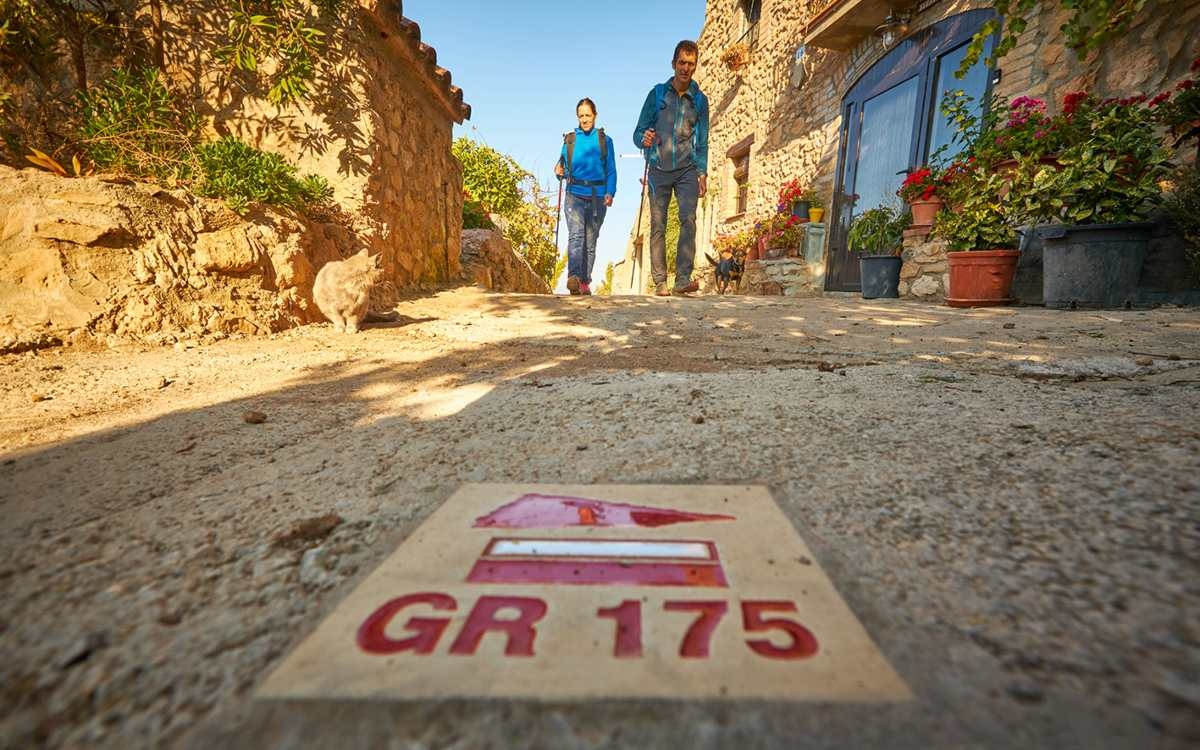 Изображение для новости о Таррагона