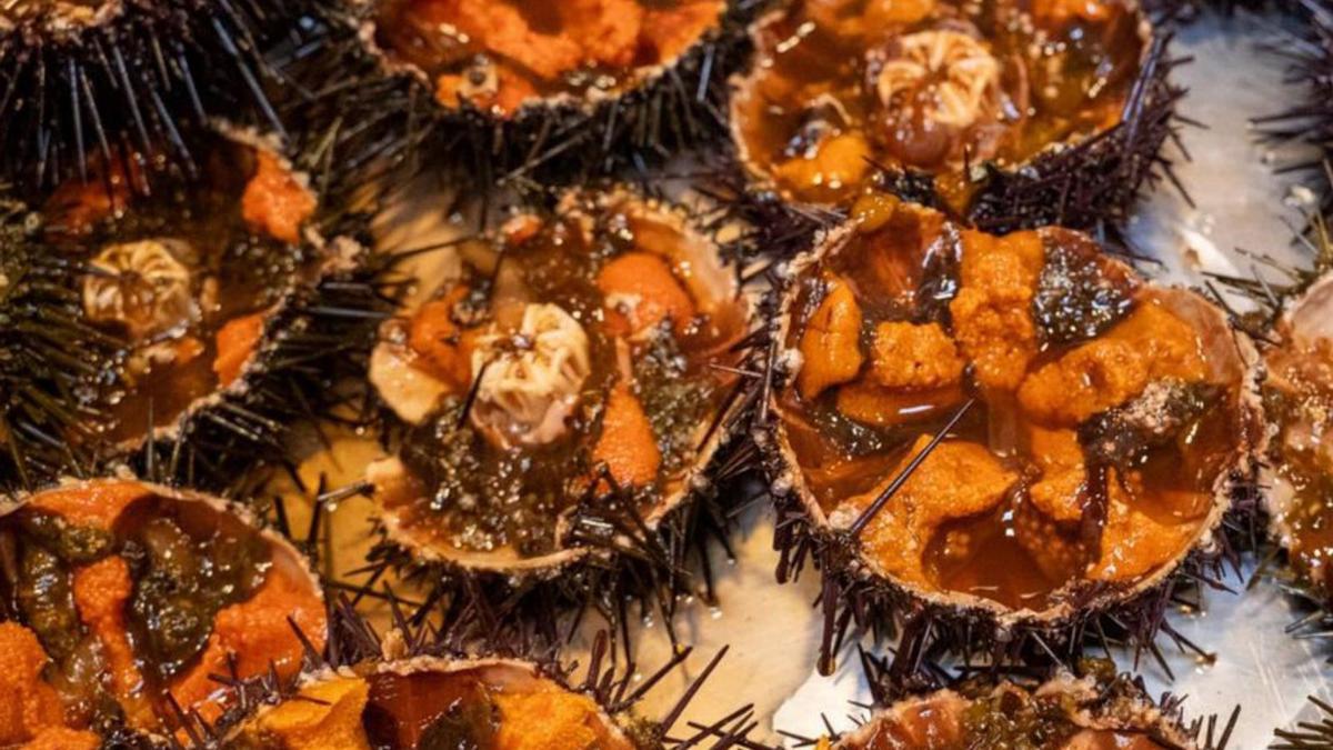 Изображение для новости о Астурия