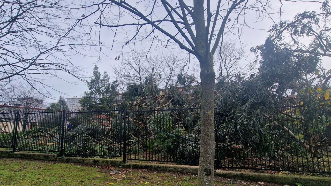 Изображение для новости о Астурия