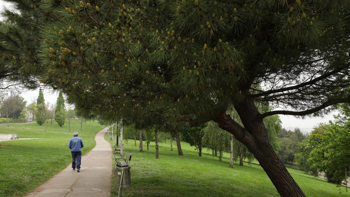 Изображение для новости о Астурия