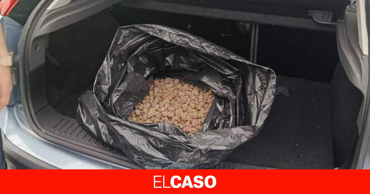 Изображение для новости о Барселона