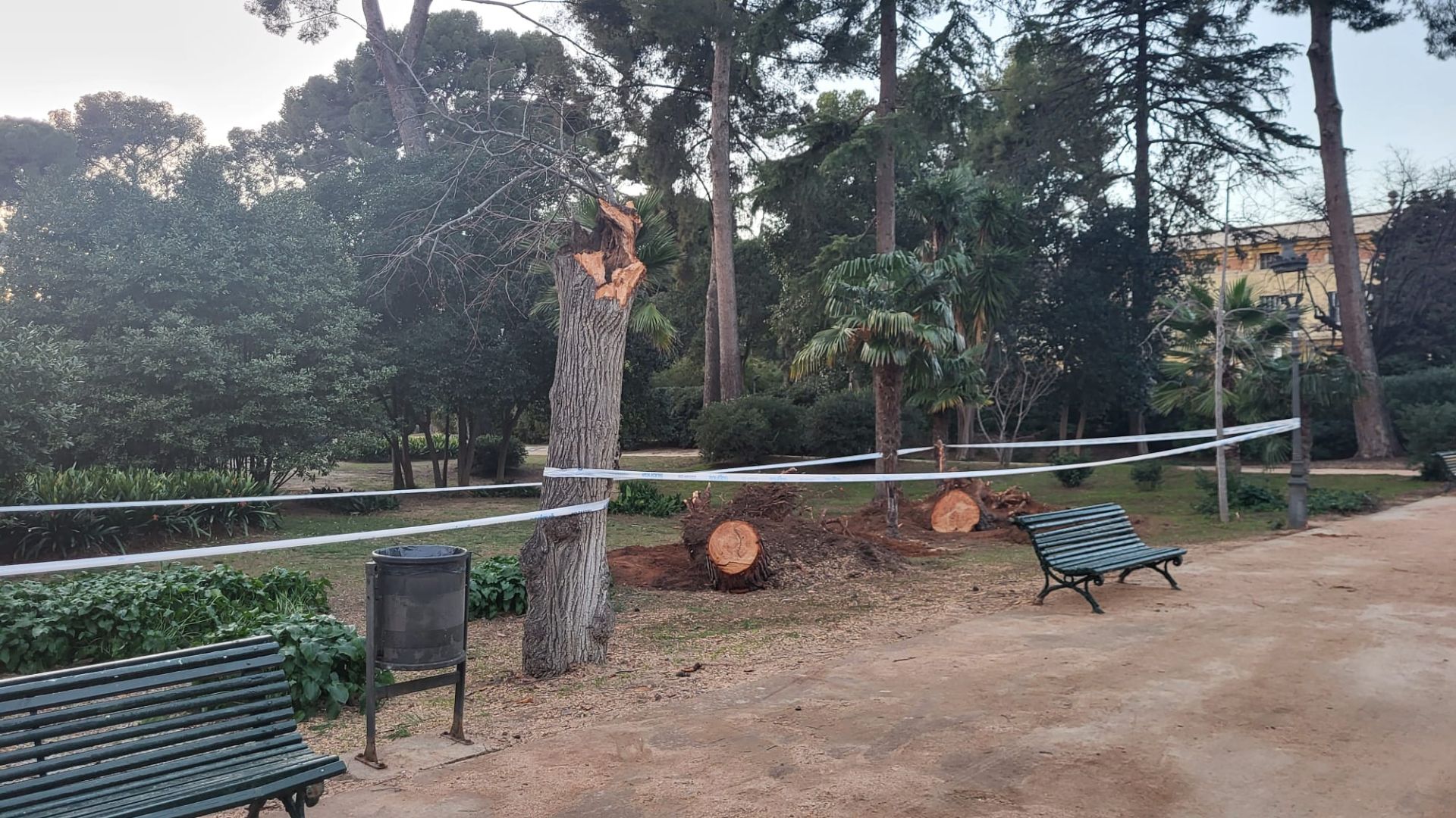 Изображение для новости о Барселона