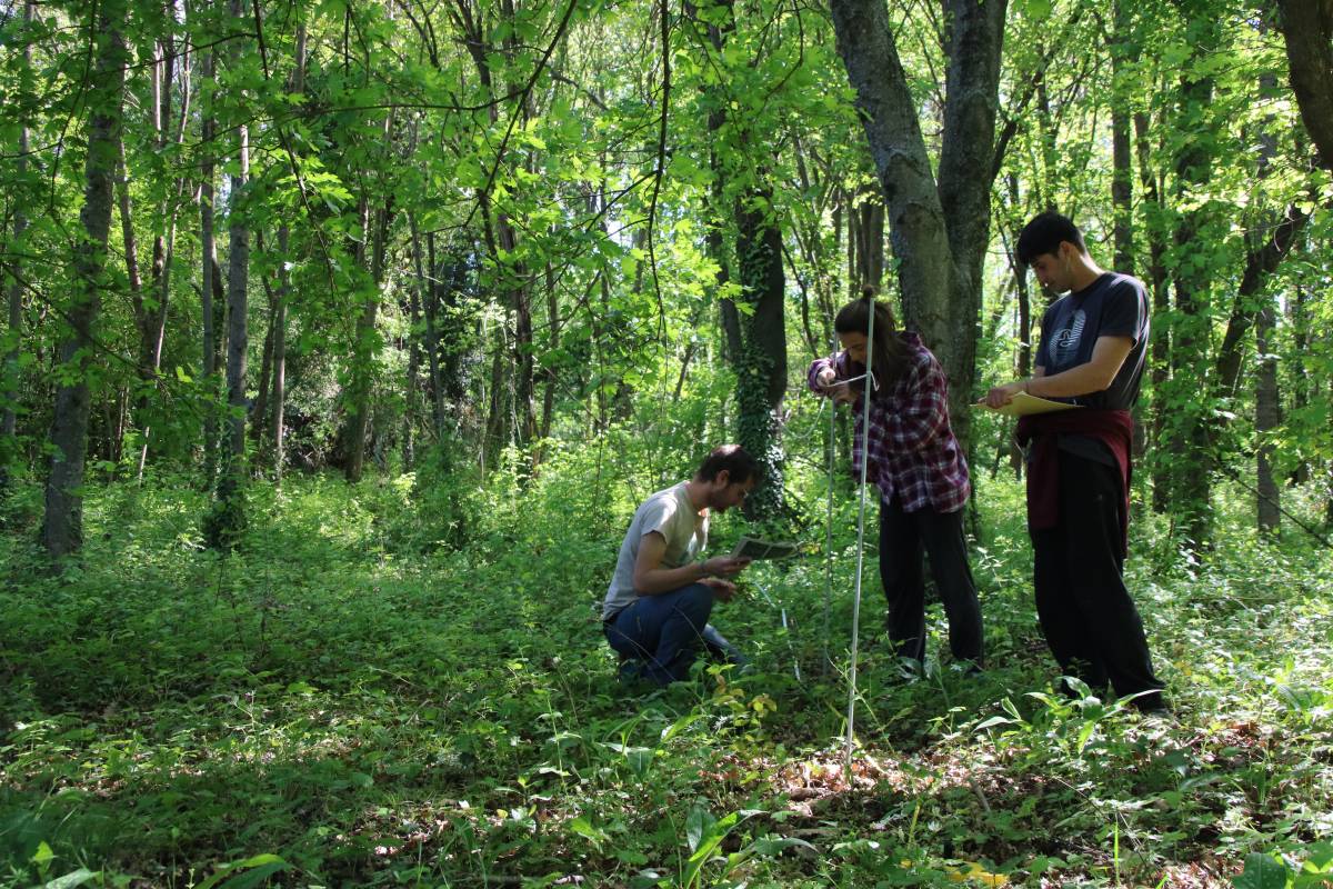 Изображение для новости о Барселона