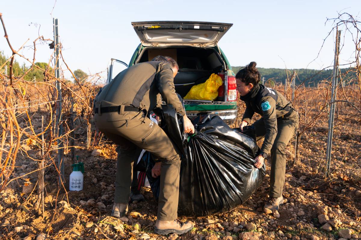 Изображение для новости о Таррагона