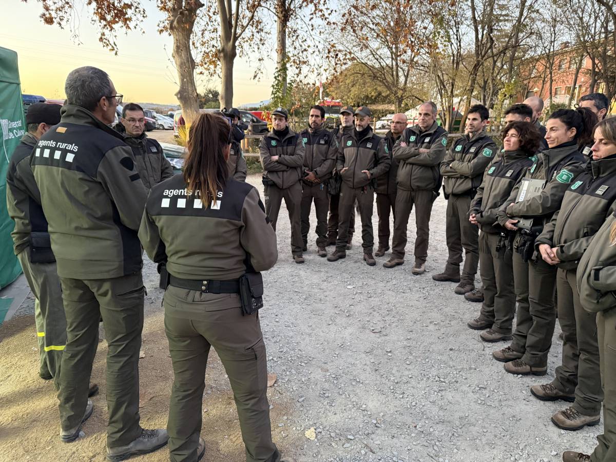 Изображение для новости о Барселона